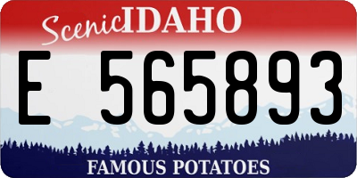 ID license plate E565893
