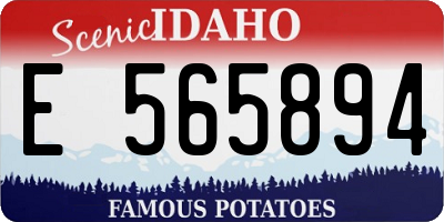 ID license plate E565894