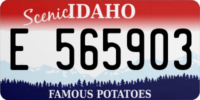 ID license plate E565903