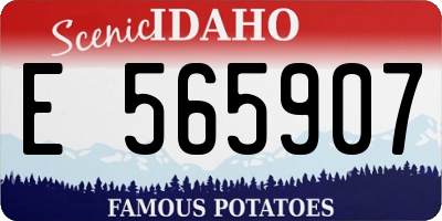 ID license plate E565907