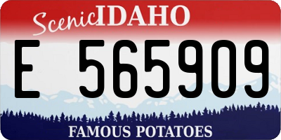 ID license plate E565909