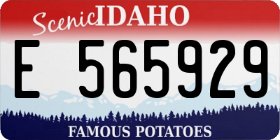 ID license plate E565929