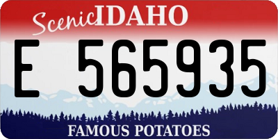 ID license plate E565935