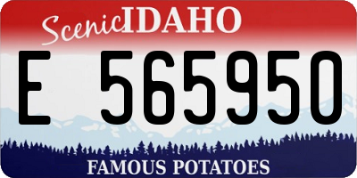 ID license plate E565950