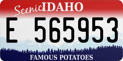 ID license plate E565953