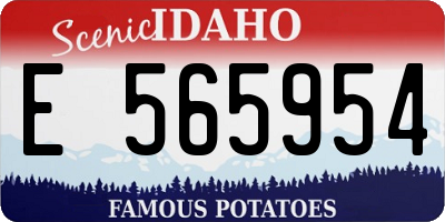 ID license plate E565954