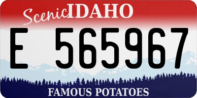 ID license plate E565967