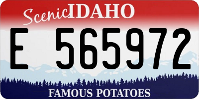 ID license plate E565972
