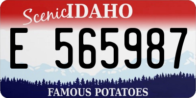 ID license plate E565987