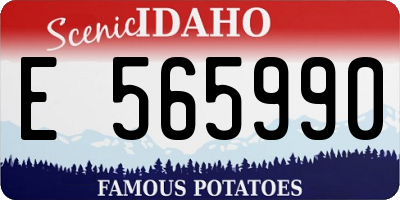 ID license plate E565990