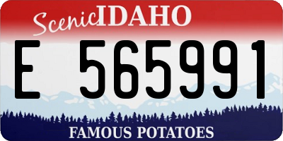 ID license plate E565991