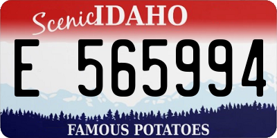 ID license plate E565994