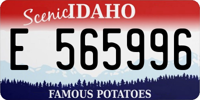 ID license plate E565996