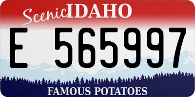 ID license plate E565997
