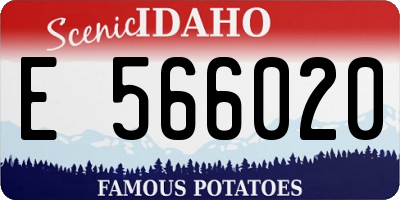 ID license plate E566020