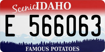 ID license plate E566063