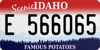 ID license plate E566065