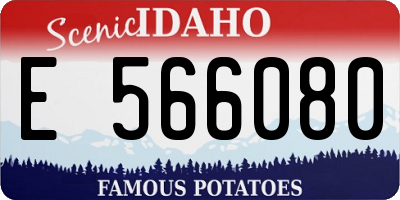 ID license plate E566080
