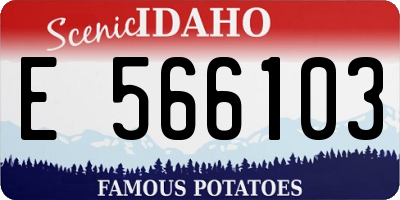 ID license plate E566103