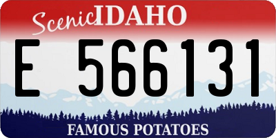 ID license plate E566131