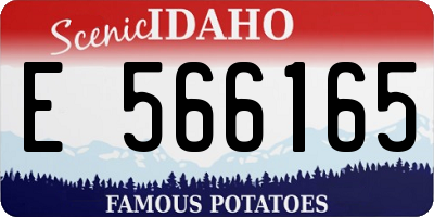 ID license plate E566165