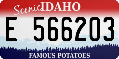 ID license plate E566203