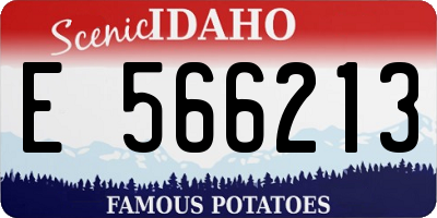 ID license plate E566213