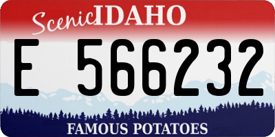 ID license plate E566232