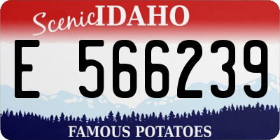 ID license plate E566239