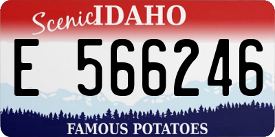 ID license plate E566246