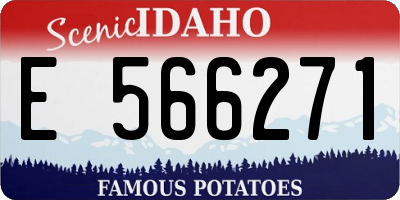 ID license plate E566271