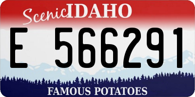 ID license plate E566291