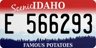 ID license plate E566293