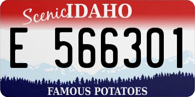 ID license plate E566301