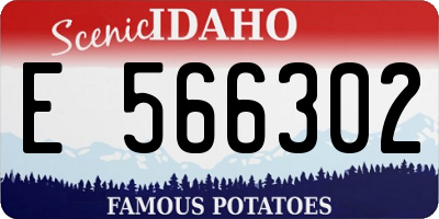 ID license plate E566302