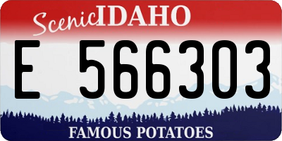 ID license plate E566303