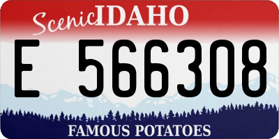 ID license plate E566308