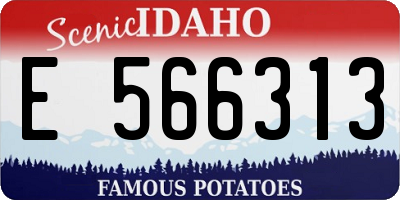 ID license plate E566313