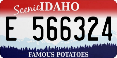ID license plate E566324