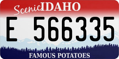 ID license plate E566335