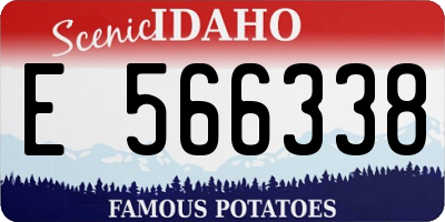 ID license plate E566338
