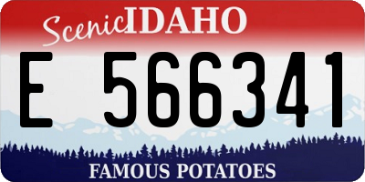 ID license plate E566341