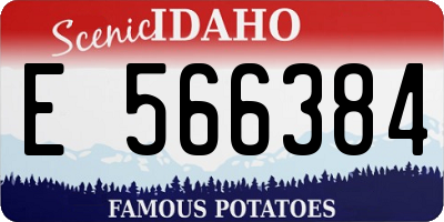 ID license plate E566384