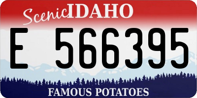 ID license plate E566395