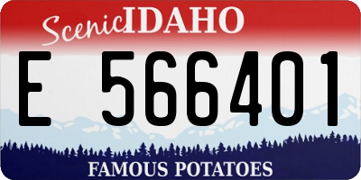 ID license plate E566401