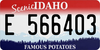 ID license plate E566403