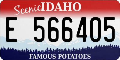 ID license plate E566405