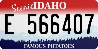 ID license plate E566407