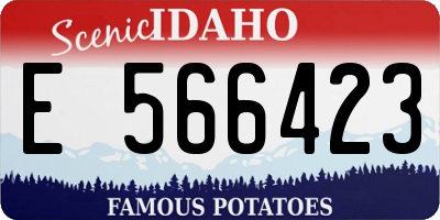ID license plate E566423