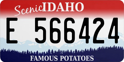 ID license plate E566424